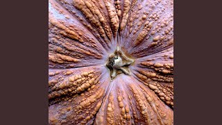 Hump&#39;em and Dump&#39;em (2020)