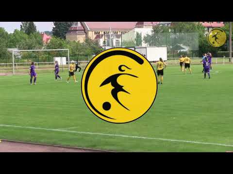1.FFC Fortuna Dresden vs FC Erzgebirge Aue 5:1