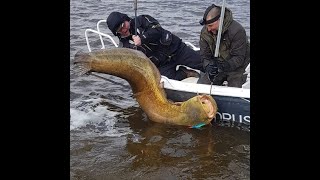 Рыбалка в астрахани на корабле контракт