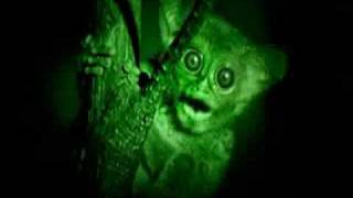 comm Mountain Dew MDX Commercial Matt B