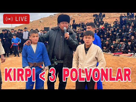 Kirpi 3 ta polvonga qarshi 