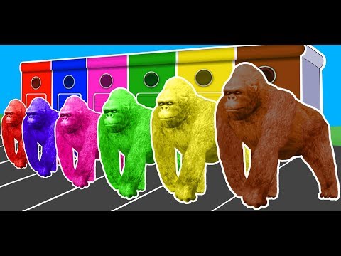 Colors Animals Gorilla Lion & Dinosaurs Fun Learning Video for Kids