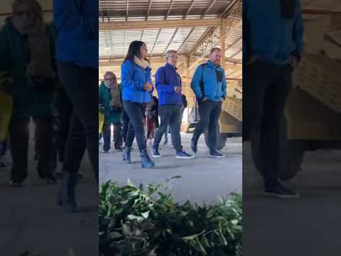 🌎 ¡Santa Juana Lidera el Reciclaje en el Biobío! ♻️