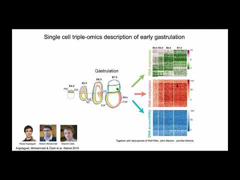 Computational single-cell biology from one to many cells - Oliver Stegle - MLCSB - ISMB 2020