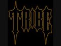 Tribe - Head