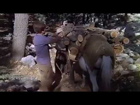 İLYAS MANAV OMAR DAYIMIN GATIRI