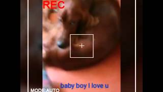 The second day // Irish setter's diary 💕