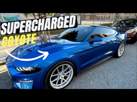 What You NEED To Know Before Supercharging Your Coyote! | ESS Tuning | ZAYWITDAFITTY