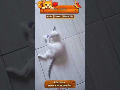 Vídeo de Sem nome