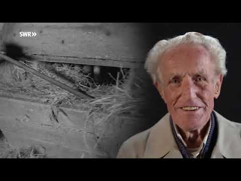 Nächste Ausfahrt: Hotzenwald Doku (2018)