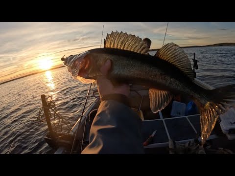 Paluu kuhaparatiisiin osa 1/3 | Mahoto iltasyönti