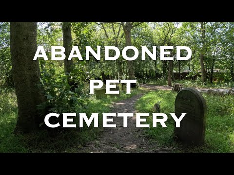 Why Is There A Pet Cemetery In A Wakefield Public Park? 🇬🇧