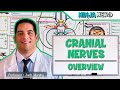 Neurology | Cranial Nerves: Overview