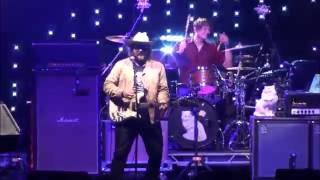 Wilco  - THE LATE GREATS, Portland, OR at Edgefield Aug 9, 2015