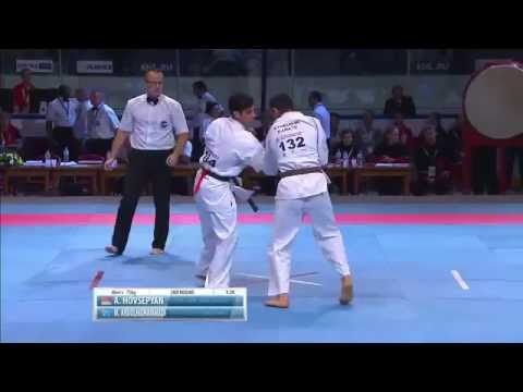 kyokushin KWU 2nd world Championship 2015 Russia