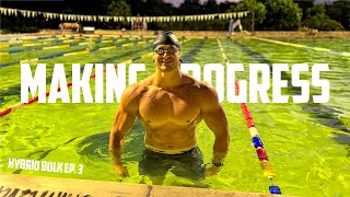 Swimming Farther & Getting Bigger | Longest Swim | Hybrid Bulk Ep. 3