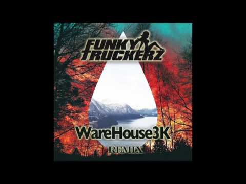 Clean Bandit Ft Louisa Johnson  - Tears (Funky Truckerz & WareHouse3k Remix)