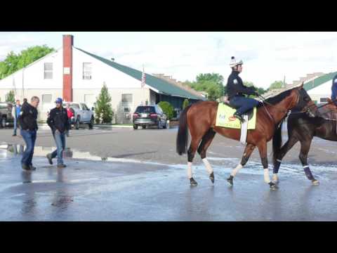 Kentucky Derby 2017: Practical Joke - Chad Brown