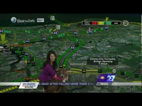 Traffic for the dogs, or by the dogs :)