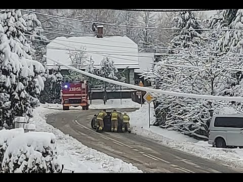 MUSTANG I POLSKA POLICJA
