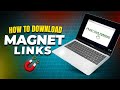 How To Download Magnet Links The Right Way