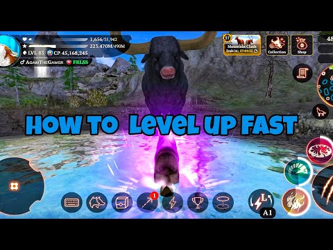 How To Level Up Quickly In The Wolf ? 🤔
