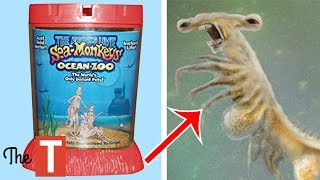 10 Most MESSED UP Toys For Kids