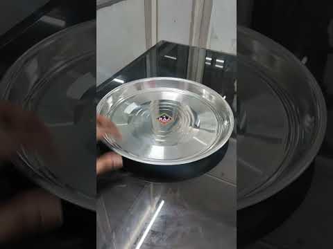 Stainless Steel Dinner Plate