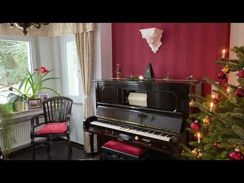 Elgar Salut D‘ Amour Duo-Art Roll 5538