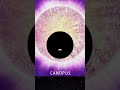 Top 5 Brightest Stars Seen From Earth