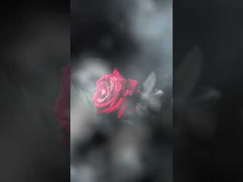 Yaram sızlar ağrır başım...