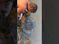 Kush Ke Fool Tarkulwa Ki Purani Chhoti Gandak Nadi Ki Ghati