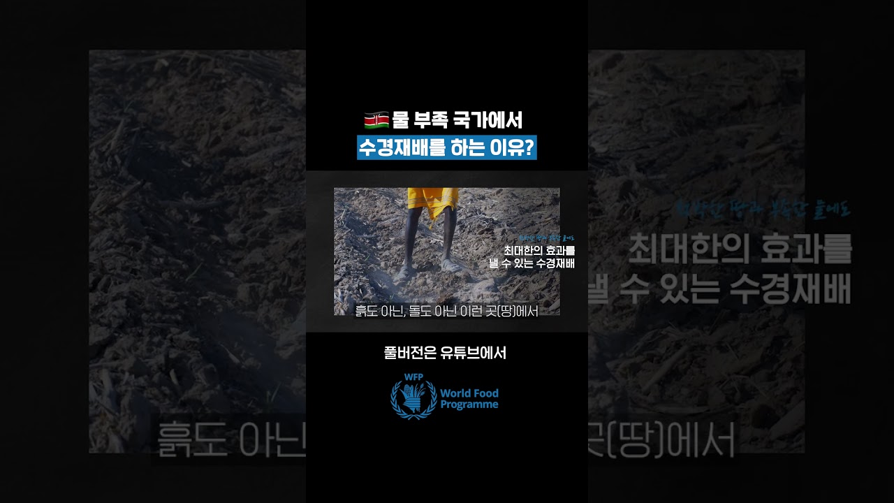 수경재배 = 대한민국의 비닐하우스?🤨 | 유엔세계식량계획WFP