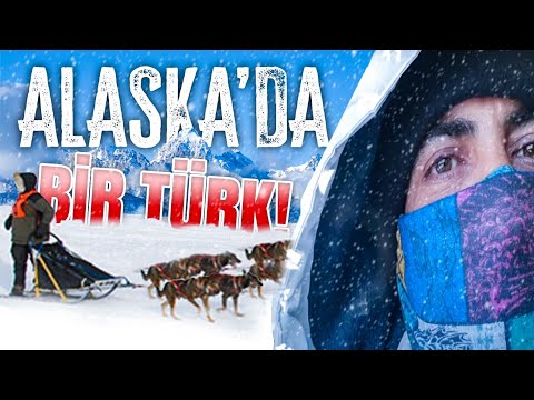 Alaska'da Husky Bakıcılığı Yapıyorum 🇺🇸