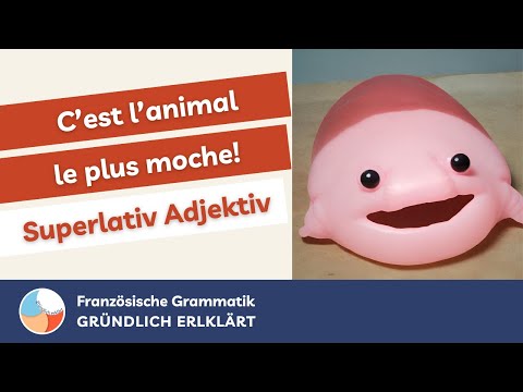 Steigerung Adjektive (2) Superlativ – Französische Grammatik [GRÜNDLICH ERKLÄRT]