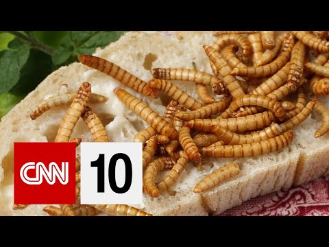 What's For Dinner?  Insects.