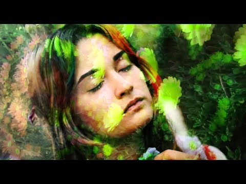 Love Street - The Doors - Lauren Ruth Ward