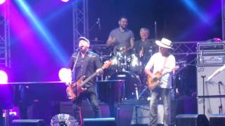 Minchin and Fisher family - Shine a light