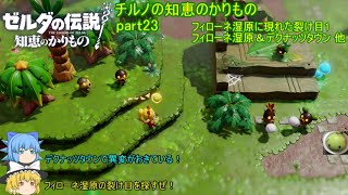 【ゼルダの伝説 知恵のかりもの】 チルノの知恵のかりもの part23 フィローネ湿原に現れた裂け目1 フィローネ湿原＆デクナッツタウン 他【ゆっくり実況】