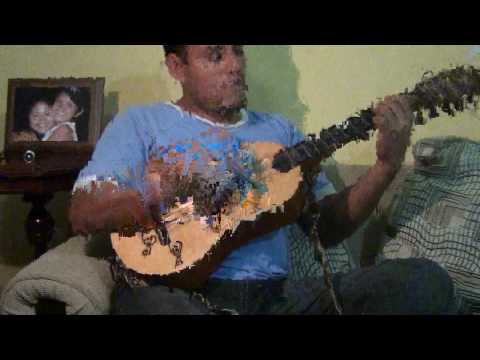 Taller Cascabel - Clase 2: Son Jarocho La Guacamaya