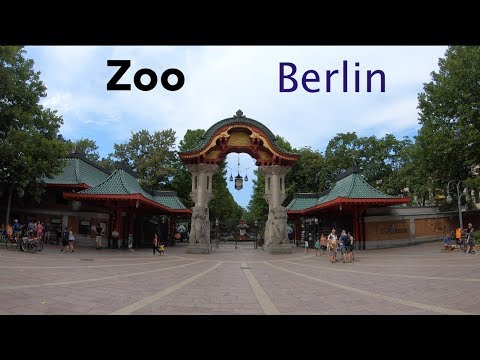 download lagu mp3 mp4 el Am Zoo Berlin, download lagu el Am Zoo Berlin gratis, unduh video klip el Am Zoo Berlin