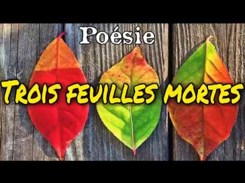 French poem 🍂 Trois feuilles mortes from Raymond Richard 🍂