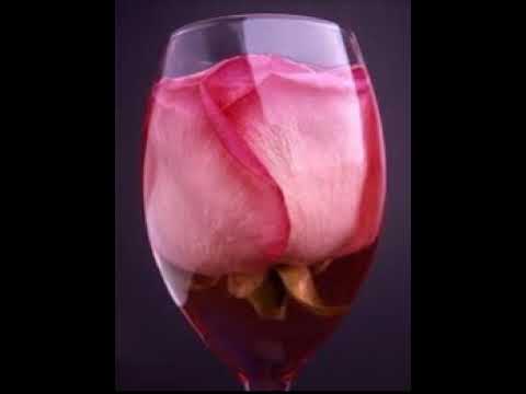 Dj Pippi & Cesar De Melero   @ Cafe Ole Tribute To Ibiza - 2007