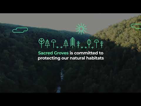 Sacred Groves Video