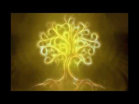 If You Want me If You Need Me