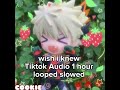 Wish I Knew Tiktok Audio 1 Hour Looped Slowed