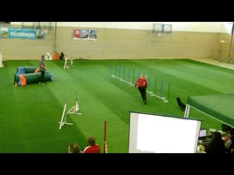 02.03.13 LG Saar Maike mit Louve J1+2