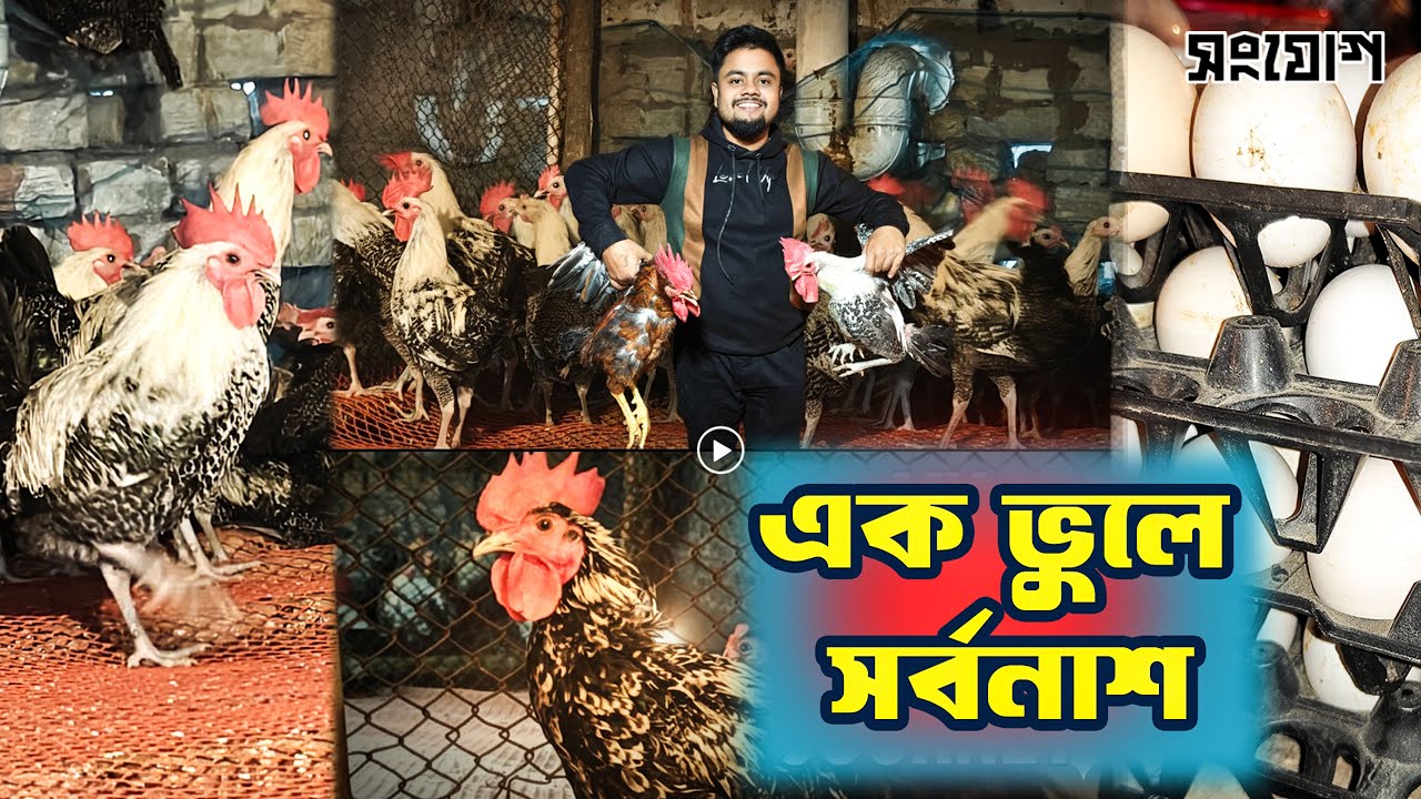 বারবার লোকসান, শেষে সফলতা!