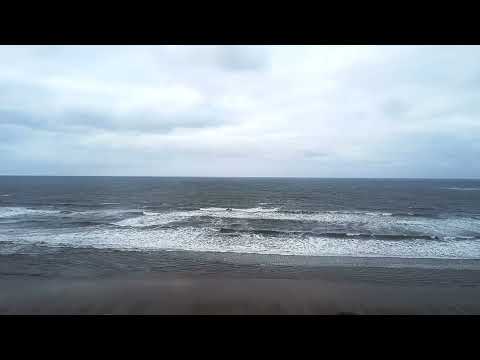 Jamaica Music Video - Will Allen