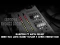 Bluefish ft Anita Kelsey - Been Too Long (Kasey Taylor & Chris Meehan Mix) [HQ]
